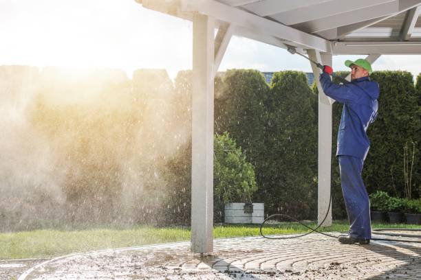 Best Roof Washing  in Myrtle Grove, FL
